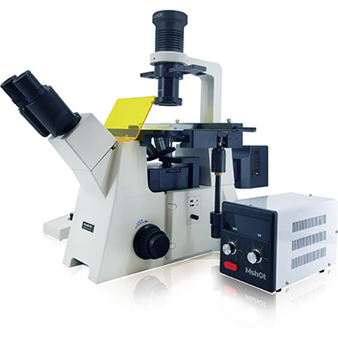 倒置荧光显微镜MF53-N